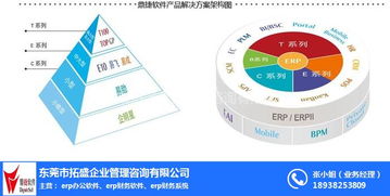 拓盛企業(yè)管理咨詢 食品公司ERP解決方案的專家指南