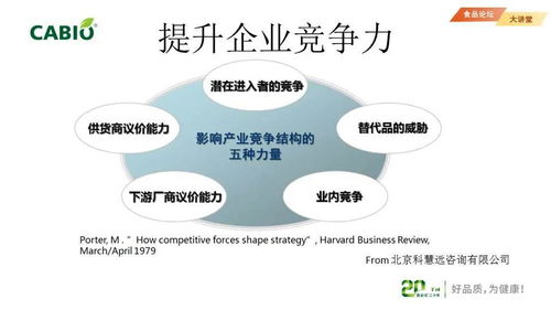 企業(yè)知識(shí)產(chǎn)權(quán)管理與專利信息利用 構(gòu)建核心競爭力與商業(yè)價(jià)值的管理咨詢策略
